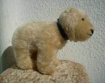 vintage,small,Steiff polar bear,small,mohair eisbar with raised silverscript ear button,blue collar.