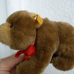 vintage,Steiff 081668 TAPS brown bear,small,plush toy with all ids