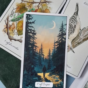 May include: A tarot card labeled 8 of Cups featuring a lone figure walking along a path through a dark pine forest toward a sunset sky with a crescent moon. The card is surrounded by other tarot cards, including one showing a mantis and 3 of Swords.