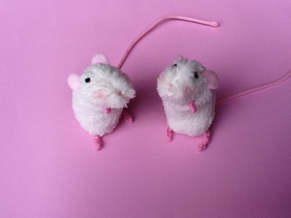 little mouse pet