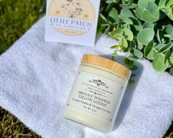 Lotion fouettée biologique pour suif : suif de bœuf américain engraissé et nourri à l'herbe