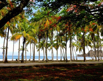 Costa Rica Paradise Photo Bundle