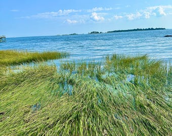 Whispers of the Coast