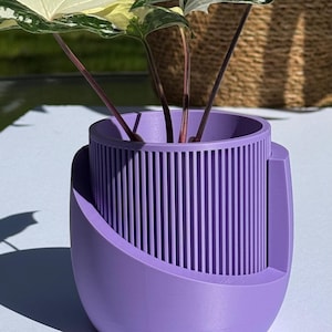 May include: A purple planter with vertical ribbed detailing, holding a plant with green and white variegated leaves. The planter has a curved base and a cylindrical interior, suitable for indoor plants.