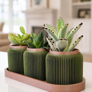 Ribbed Succulent Planter Set | Modern Boho Desk Decor, Drainage Pots (2"x2" Height/Depth)