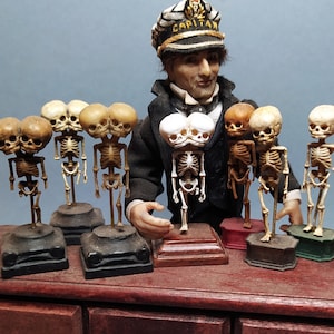 Distressed CONJOINED TWINS SKELETON. very aged Dicephalus parapagus dipus anatomical specimen reproducction. for dollhouses 1:12 scale