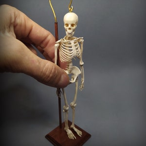 ESQUELETO adulto. maqueta anatómica en miniatura para casas de muñecas escala 1:12 de D. zalvez wunderkammer medical oddities
