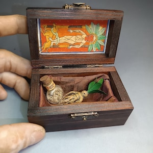 Op de afbeelding: Kleine, open houten kist met een scharnierend deksel. Binnenin een miniatuurillustratie en een glazen flesje met een kurkstopper met het opschrift "Mandrake Seed". Een gesneden alruinwortel met groene bladeren.