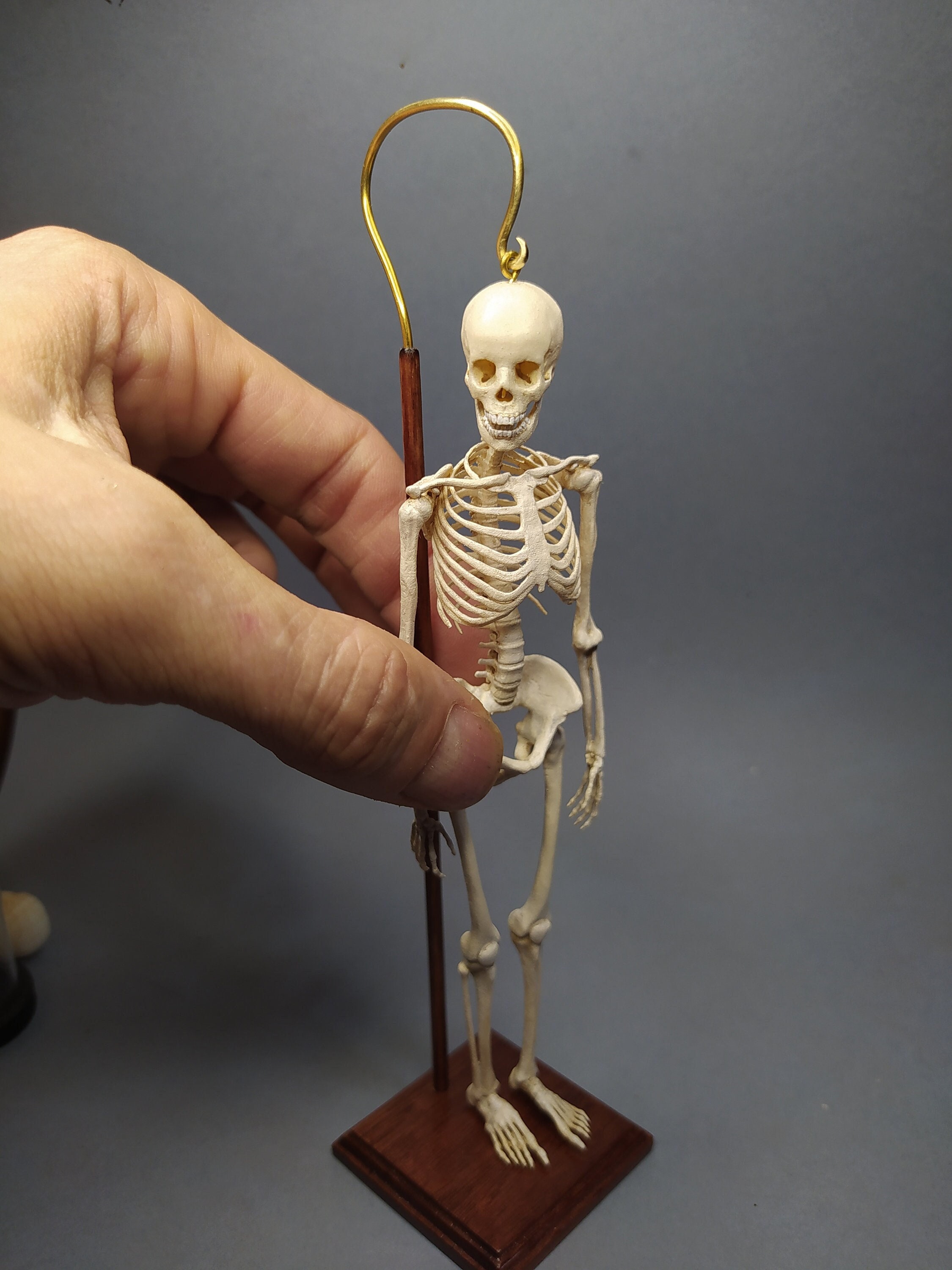 HUMAN SKELETON MODEL Miniature 1/12 1/24 1/48 Scale for Dollhouse