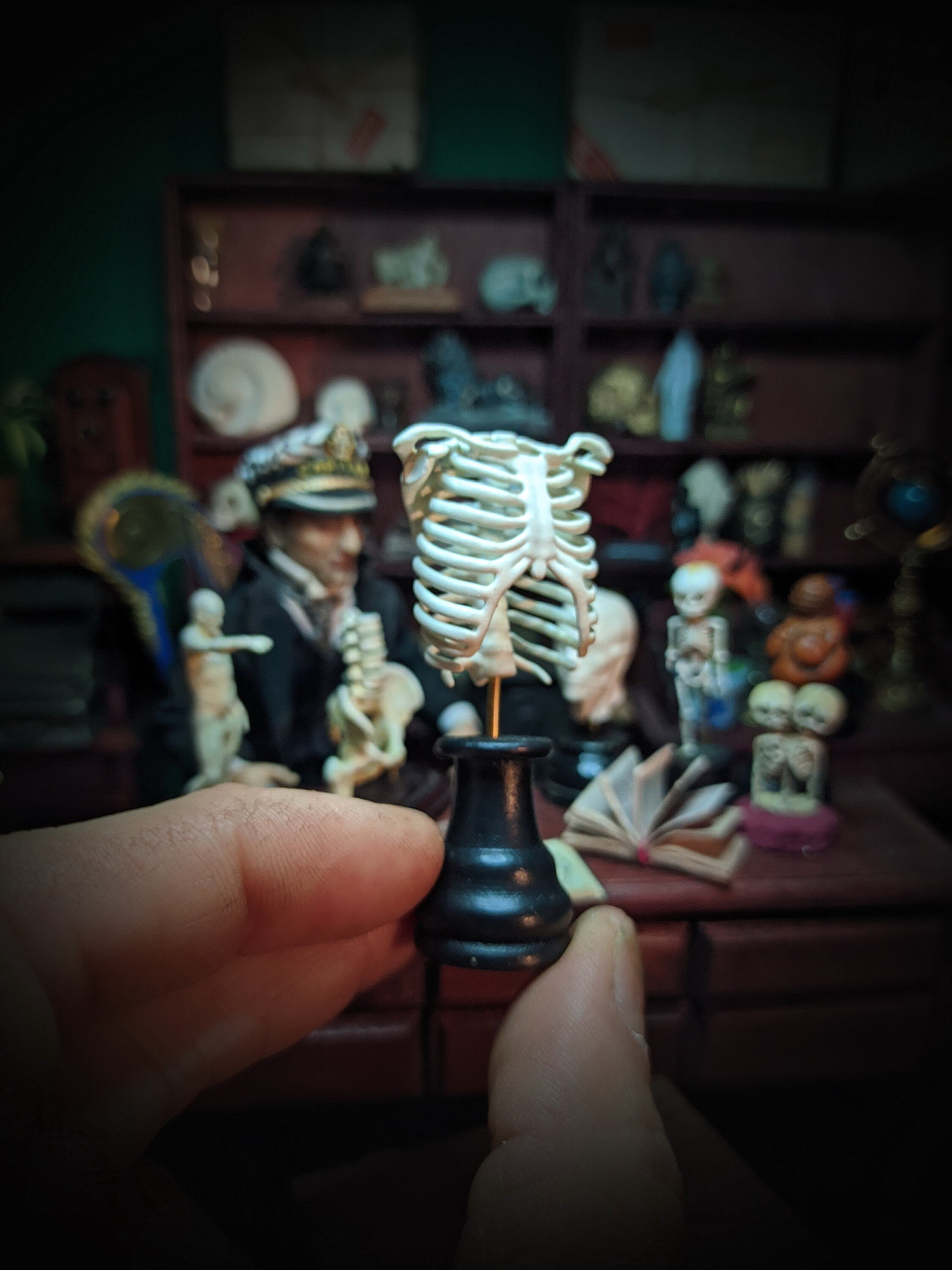 RIB CAGE. Anatomical Model Miniature for Dollhouses 1:12 Scale by D ...