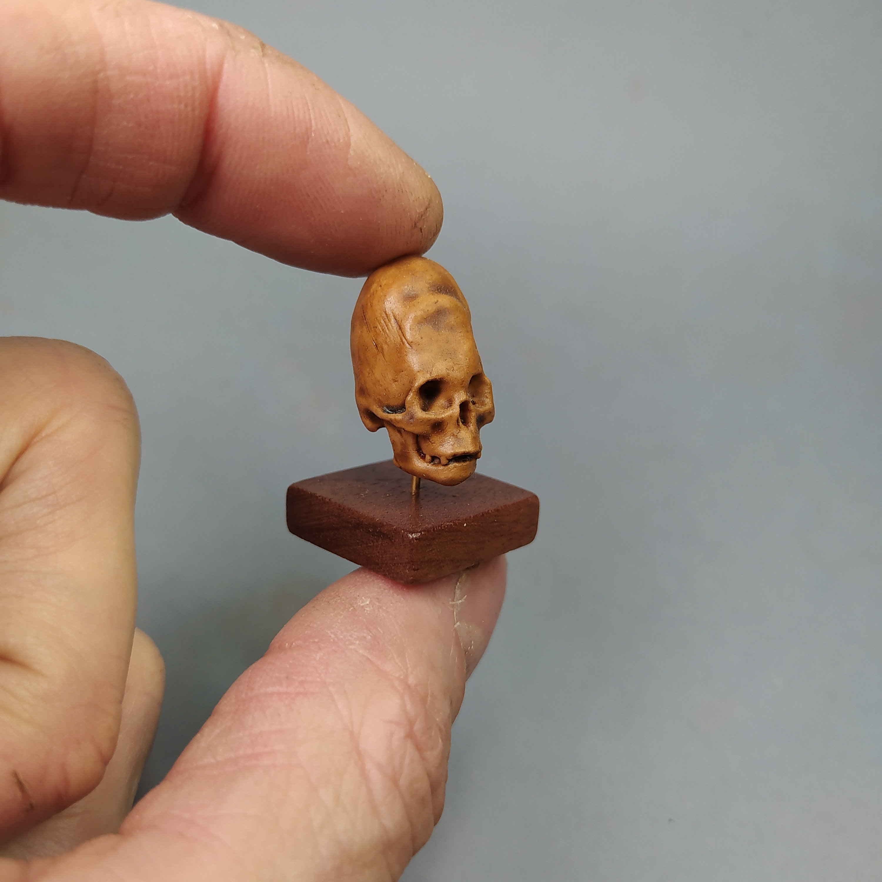 PARACAS ELONGATED SKULL Miniature. Cranial Deformation From Peru