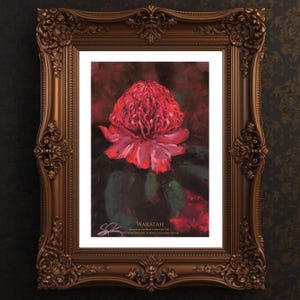 May include: An artwork print of a Waratah flower, framed in a dark brown, ornate frame. The print is part of the Botanical Garden Collection Vol. 1, showcasing a detailed painting of the red flower. The frame adds a classic and elegant touch to the artwork.