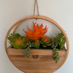 Hanging Cactus Arrangement