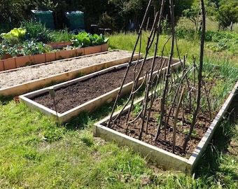 Raised Garden Bed Plans | Beginner Woodworking Project | Vegetable Garden Box (PDF Download)