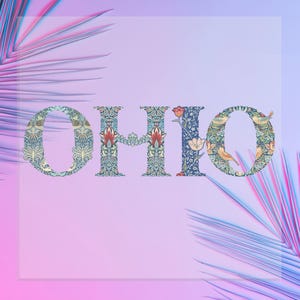 May include: The word "OHIO" in a decorative floral font, set against a gradient pink and blue background with palm fronds. The letters are filled with intricate patterns of flowers, birds, and foliage.