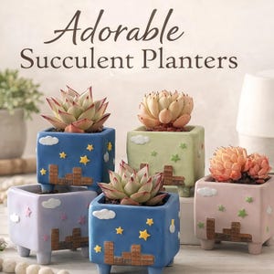 May include: Adorable succulent planters in various colors, including blue, green, and pink. Each square planter features a cityscape design with clouds and stars, and is filled with a succulent plant. The planters are on small, square feet.