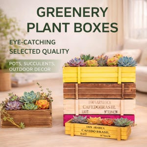 May include: Wooden plant boxes filled with succulents. The boxes are in various colors, including yellow, brown, and pink. Text on the boxes reads "Greenery Plant Boxes", "Eye-Catching", "Selected Quality", and "Pots, Succulents, Outdoor Decor".
