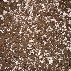 May include: Close-up of potting soil mix, featuring dark brown soil with white perlite granules scattered throughout. The texture is coarse and earthy, ideal for gardening and plant care.