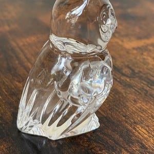 May include: A clear glass figurine shaped like an owl, featuring molded details that define the head, eyes, and wings. The surface is smooth and transparent, reflecting light across its curved form to highlight the avian silhouette and texture.