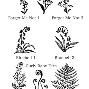 May include: Black and white line drawings of various plants, including forget-me-nots, bluebells, curly baby fern, shepherds purse, and fern. The drawings are labeled with the plant names.