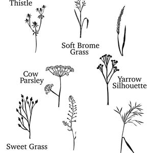 May include: Black and white line drawings of various types of grasses and wildflowers, including thistle, cow parsley, soft brome grass, rye grass, yarrow silhouette, sweet grass, shepherd's purse, and oat grass.