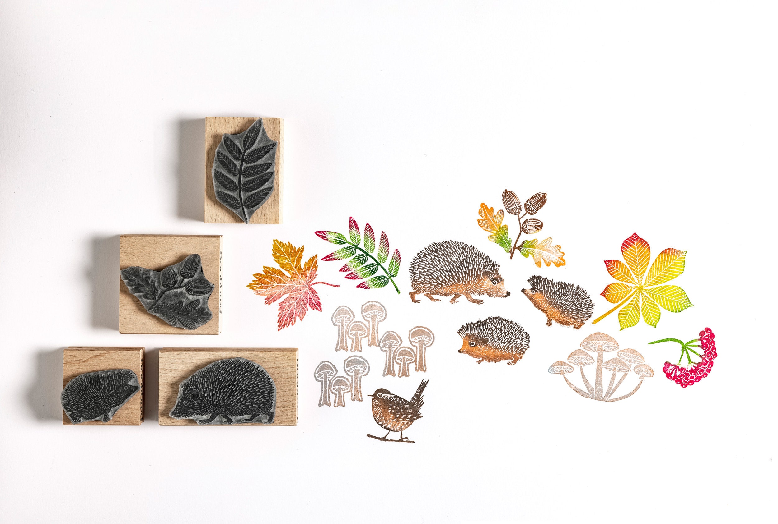Hedgehog Family Rubber Stamps Stamps for Card Making - Etsy Israel