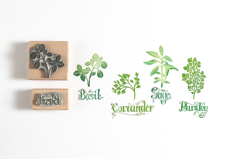 Garden Herbs Rubber Stamps Botanical Herb Stamps Lavender Etsy
