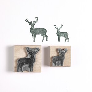 Winter Landscape and Stag Stamp, Christmas Rubber Stamp, Stag Stamp, Pheasant Stamp image 4