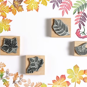 Autumn Rubber Stamps, Leaves, Berries, Mushrooms, Acorns and Tiny Wren Stamps