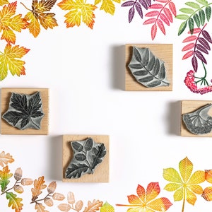 Autumn Rubber Stamps, Leaves, Berries, Mushrooms, Acorns and Tiny Wren Stamps