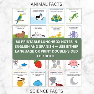 Lunch Box Notes für Kinder druckbare, zweisprachige Englisch Spanisch Lunchbox Notes, 80 STEM Cards, Tier- und Wissenschaftsfakten, Spaß beim Lernen