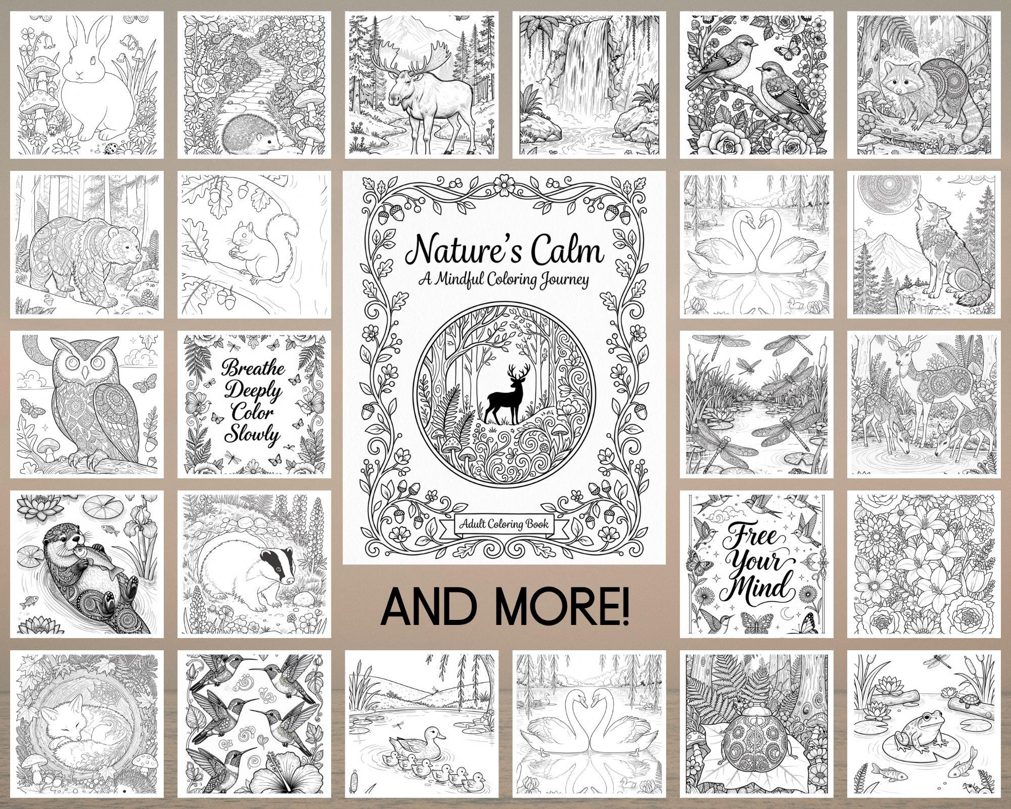 Nature's Calm Coloring Book - Etsy