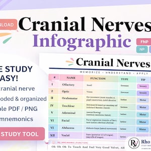 Può includere: Un'infografica digitale intitolata "Nervi Cranici" con una tabella codificata a colori che illustra le funzioni, i tipi e i suggerimenti dei nervi. L'immagine include il testo "Rendi facile lo studio!" e "Strumento di studio essenziale".