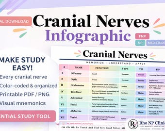 Infografía sobre nervios craneales / Guía de estudio para enfermeras practicantes, preparación para el examen de enfermera practicante familiar (descarga en PDF)