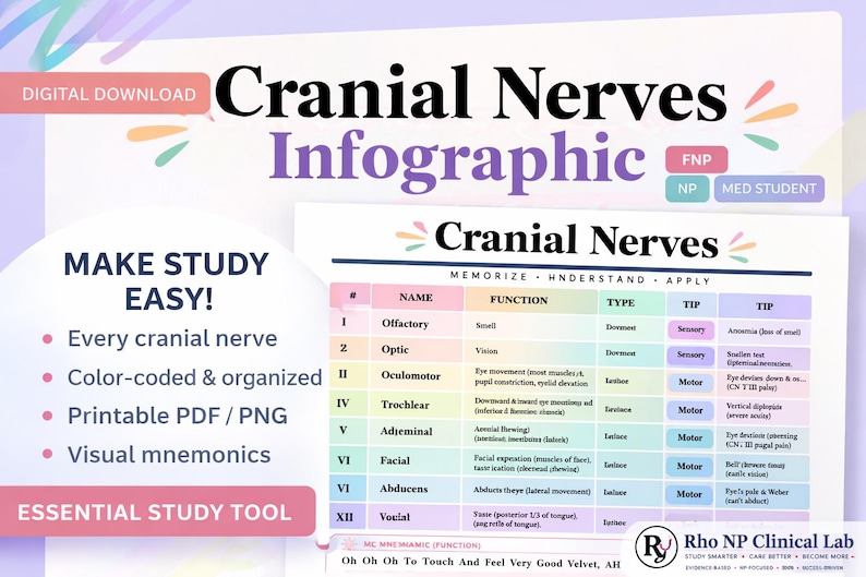 Cranial Nerves Infographic | NP Study Guide, FNP Exam Prep (PDF ...
