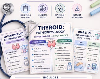 Paquete de guías de estudio de endocrinología / Diabetes, hipotiroidismo, hipertiroidismo (notas en PDF)