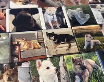 Op de afbeelding: Een verzameling vierkante tegels met verschillende Shiba Inu-honden in verschillende poses. De honden worden in verschillende omgevingen getoond, zowel binnen als buiten. De vachtkleuren van de honden variëren van rood tot zwart en wit.