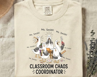 Custom Chaos Coordinator Teacher Shirt, Silly Seagull Teacher Shirt, Back to School Teacher Gift for Kindergarten Teacher Outfit