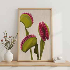 Może przedstawiać: Oprawiony pionowy wydruk ścienny przedstawiający botaniczną ilustrację trzech muchołówek. Rośliny mają żywo zielone liście i głębokie karmazynowe wnętrza z kolczastymi krawędziami na neutralnym, jasnobeżowym tle.