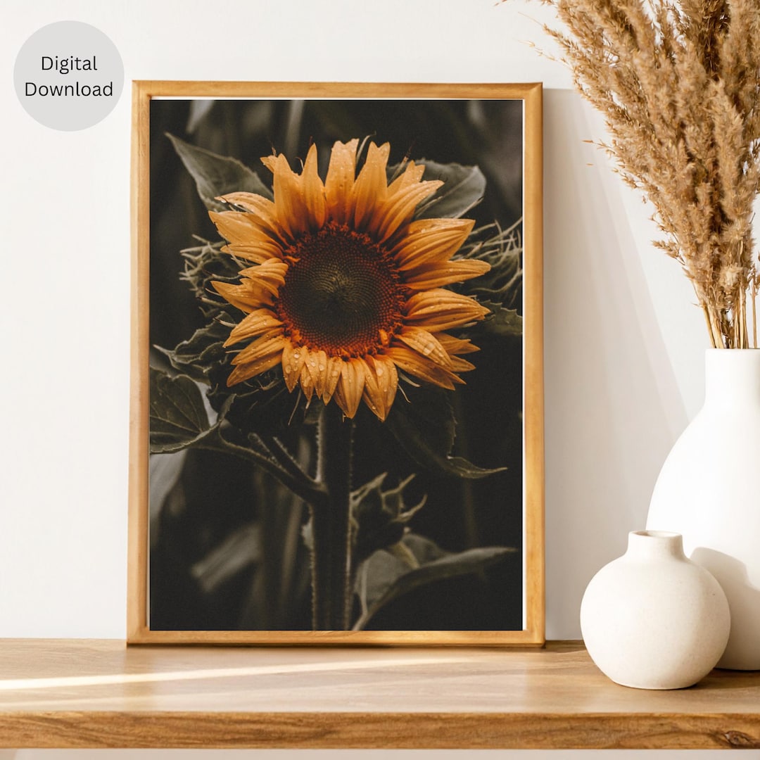 Vintage Sunflower Wall Art Printable: Botanical Floral Decor (digital ...