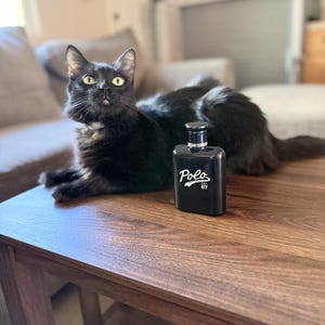 May include: A black rectangular fragrance bottle with the text "Polo" and "67" in white lettering. A black cat with yellow eyes is lying on a wooden table next to the bottle.