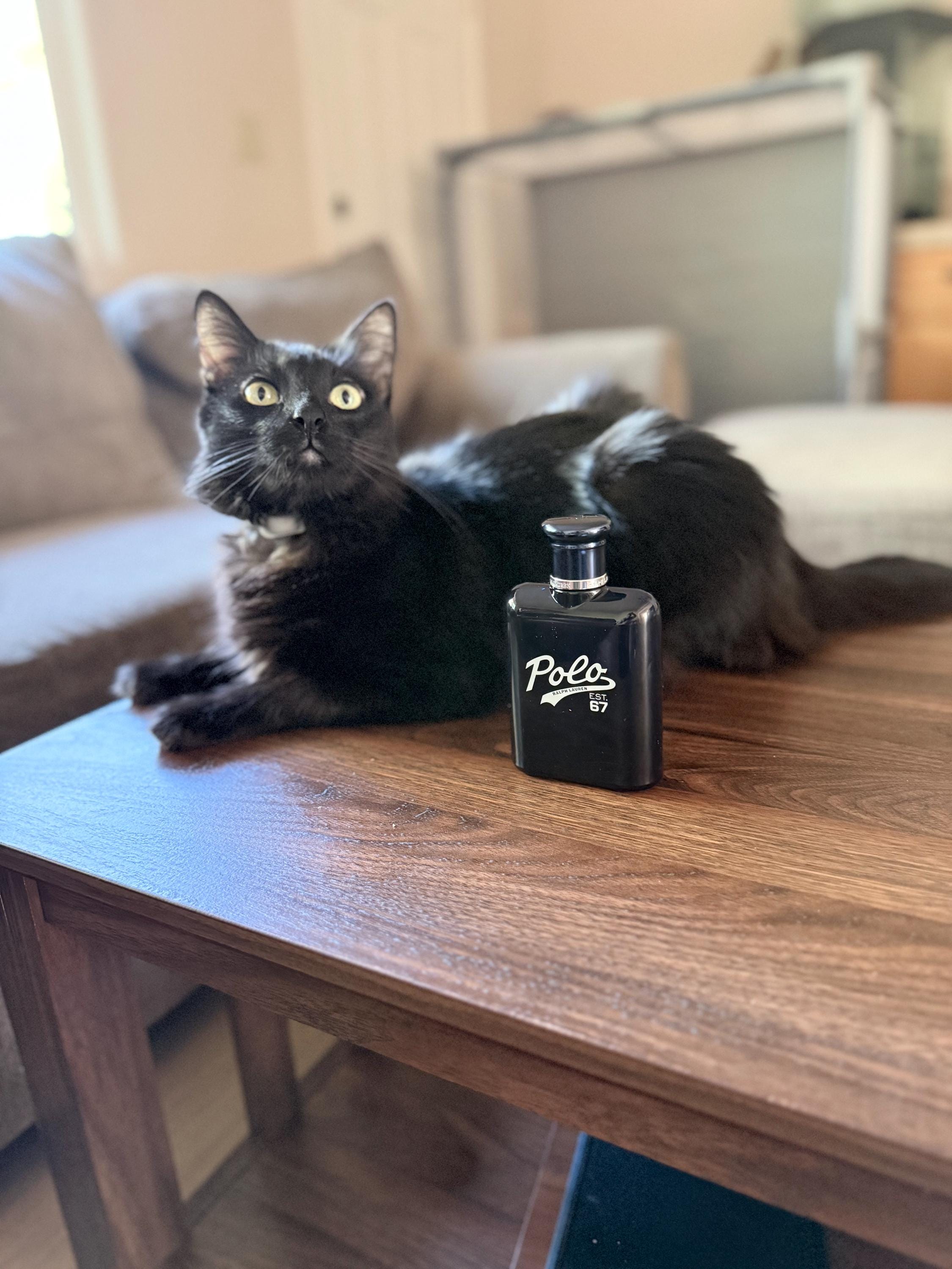 Ralph Lauren Eau De Toilette - Etsy