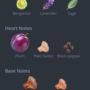 May include: A graphic displaying the fragrance notes of a product. The top notes include bergamot, lavender, and sage. Heart notes are plum, palo santo, and black pepper. Base notes are amberwood and sandalwood.