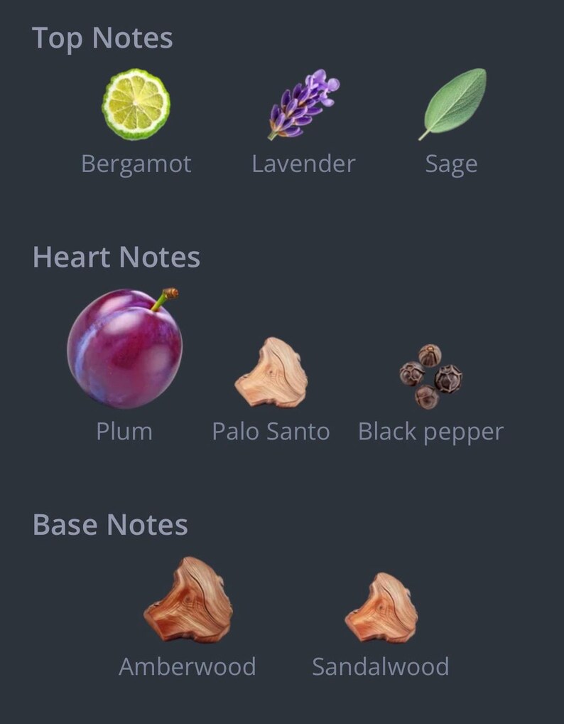 May include: A graphic displaying the fragrance notes of a product. The top notes include bergamot, lavender, and sage. Heart notes are plum, palo santo, and black pepper. Base notes are amberwood and sandalwood.