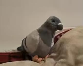 Soft Plush Pigeon Toy Stuffed Animal Pillow Cute Grey Bird Plushie Kawaii Bird Cushion Cozy Home Decor Gift for Kids and Bird Lovers