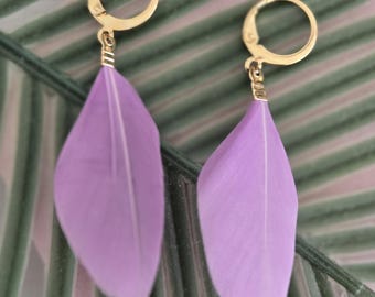 May include: A pair of gold-toned hoop earrings featuring dangling light purple feathers. Each earring consists of a circular gold hoop with a hinged closure, connected to a single, soft, lavender-colored feather by a small gold-colored metal cap.