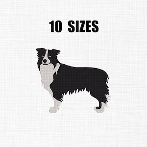 May include: A black and white illustration of a Border Collie dog. The dog is standing, with its fur detailed in a textured style. The text "10 SIZES" is displayed in bold, black letters above the dog.