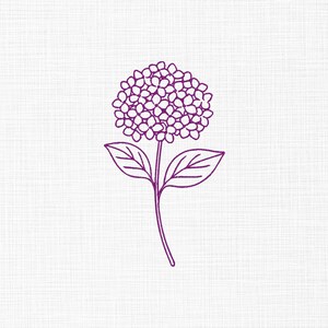 May include: A purple line drawing of a hydrangea flower. The flower head is a cluster of small circles, with two leaves and a stem. The background is a white, textured surface.