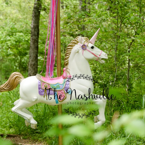 Digital background Horse Carousel Unicorn - 1st birthday toddler magical sessions Download Only
