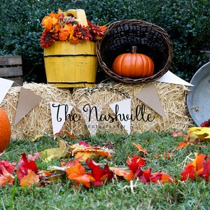Holiday set-up Fall Pumpkins digitale achtergrond Download Only Download Only Download Only